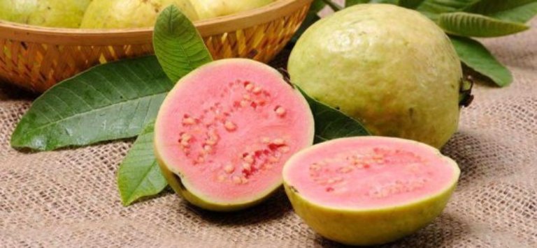 Ilustrasi. Buah jambu biji merah memiliki manfaat mencegah berbagai pennyakit.