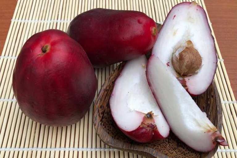 Ilustrasi. Kandungan nutrisi dan vitamin dalam Jambu Jamaika bermanfaat bagi kesehatan tubuh.