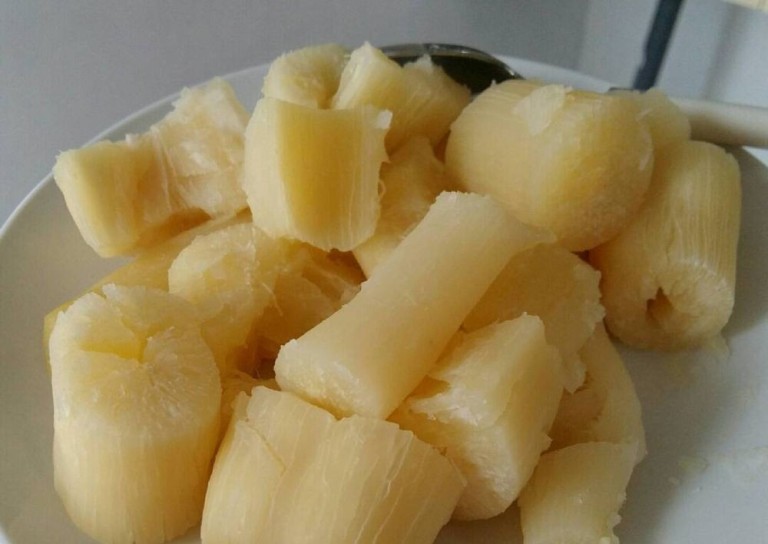 Ilustrasi. Singkong atau Ubi rebus bermanfaat bagi kesehatan tubuh.