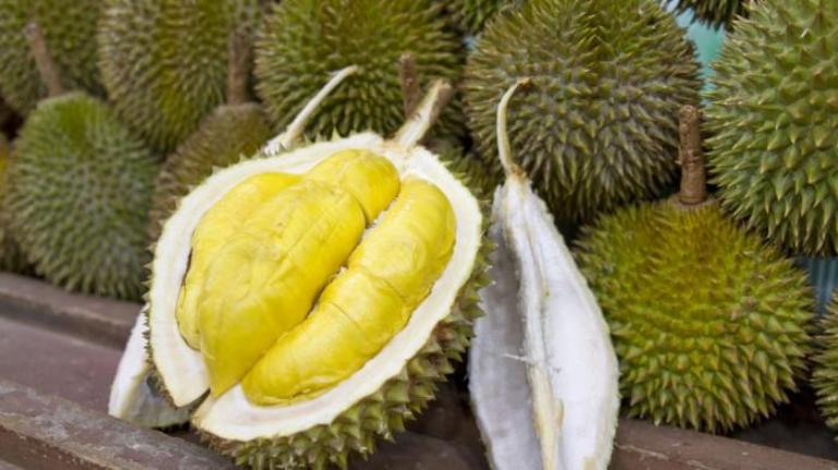 Ilustrasi. Buah Durian yang memiliki aroma menyengat menjadi objek larangan dibawa ke tempat umum.