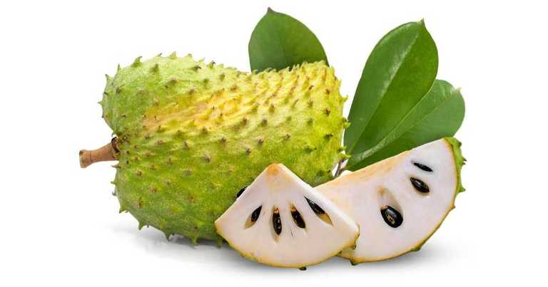 Ilustrasi. Buah durian belanda atau sirsak mampu melawan penyakit jantung.