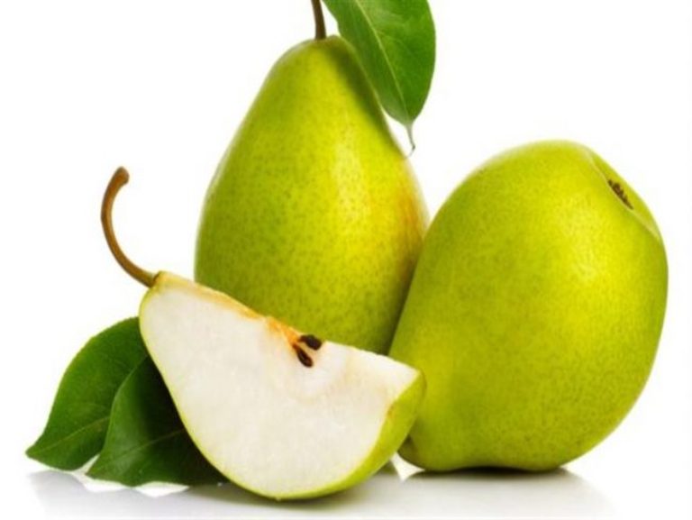Ilustrasi. Buah pir uang kaya akan nutrisi ternyata mampu meningkatkan kesehatan tulang.