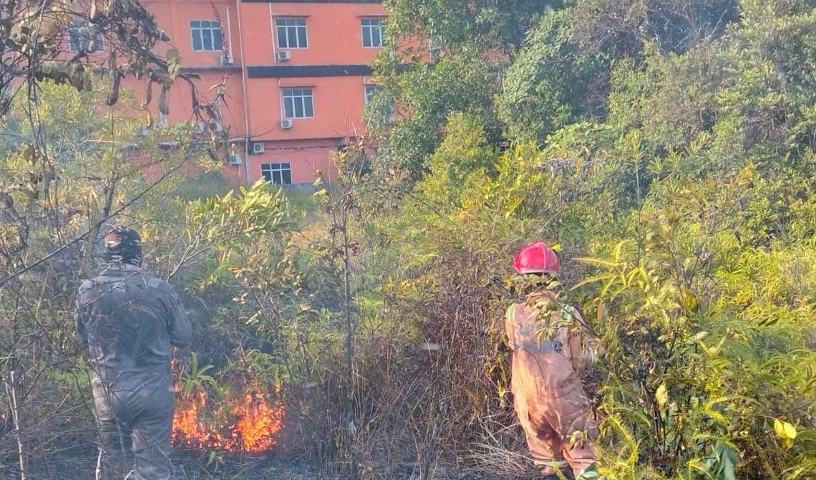Petugas berusaha memadamkan api yang membakar lahan di belakang Hotel Melayu Bedendang yang berada di jalan Indunsuri, Tanjunguban, Kecamatan Bintan Utara, Sabtu (28/12/2024) sore.