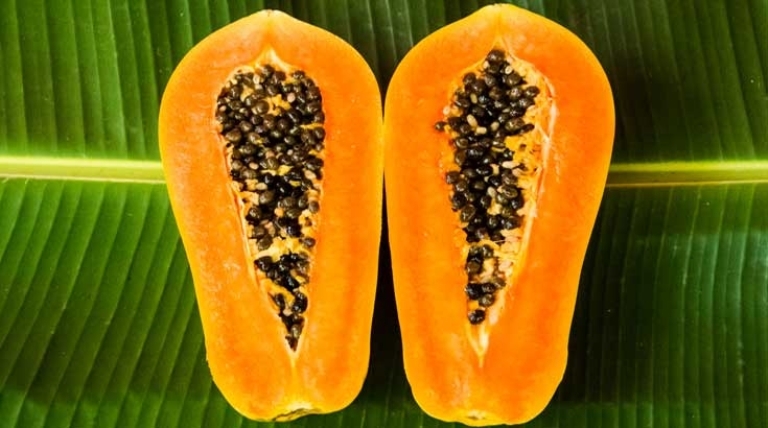 Ilustrasi. Buah pepaya kaya kandungan gizi serta vitamin  yang sangat dibutuhkan tubuh.