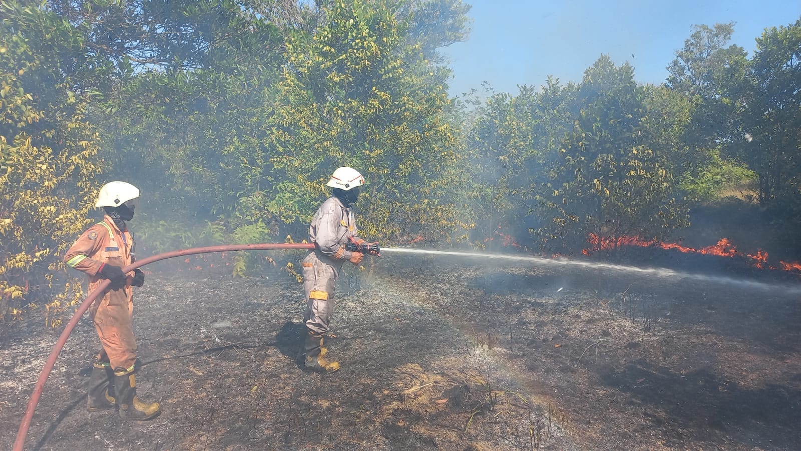Pemadam menyemprotkan air ke titik api di lahan milik PT. SBP di jalan raya Busung, Kelurahan Teluk Lobam, Kecamatan Seri Kuala Lobam terjadi pada Jumat (3/1/2025) siang.