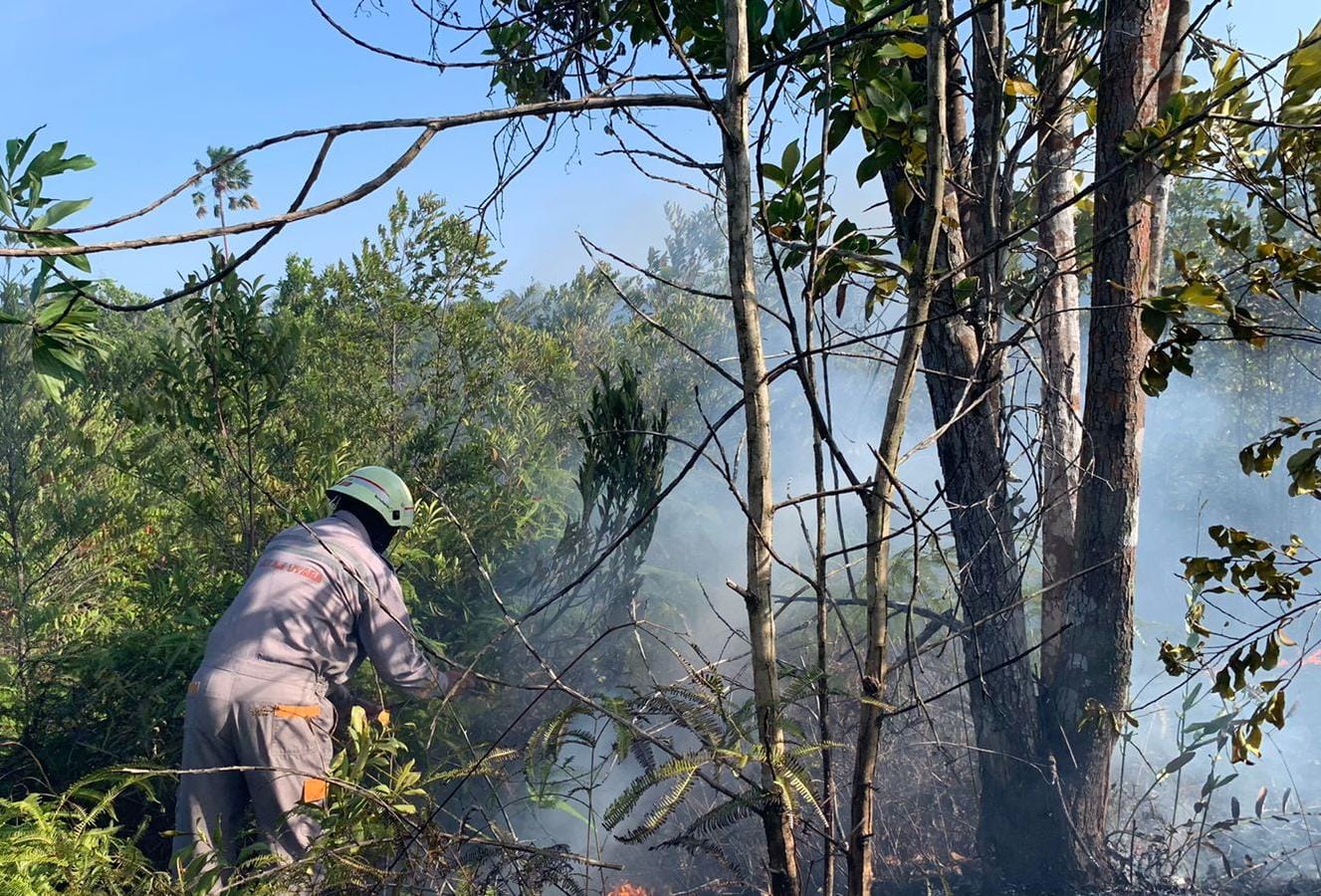 Petugas memadamkan lahan terbakar di jalan raya Tanjungpinang-Tanjunguban, Kilometer 77, Kampung Wonoasri, Desa Sebong Pereh, Kecamatan Teluk Sebong pada Selasa (7/1/2025).