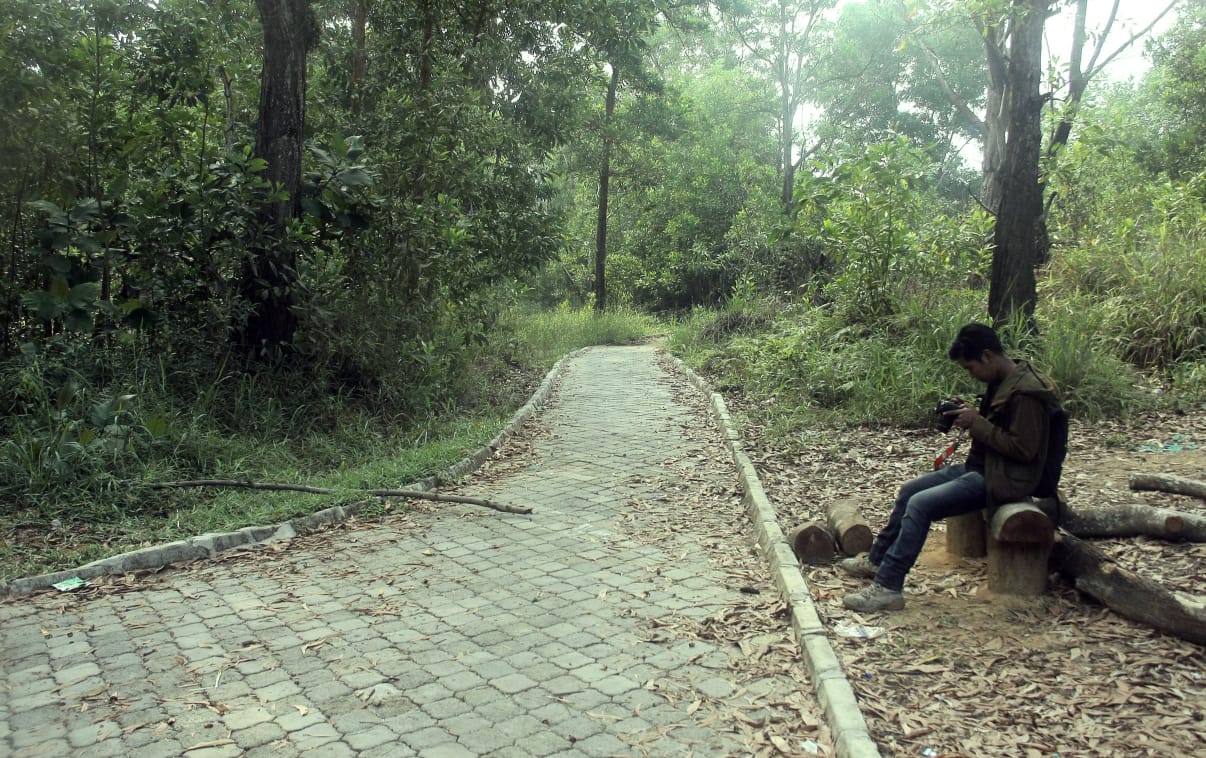 Suasana hutan lindung Bukit Kucing Tanjungpinang.
