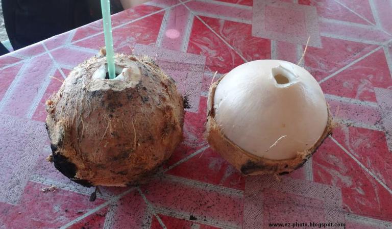 Ilustrasi. Kelapa bakar mulai ramai digemari kawula muda. Selain segar, juga banyak berkhasiat.