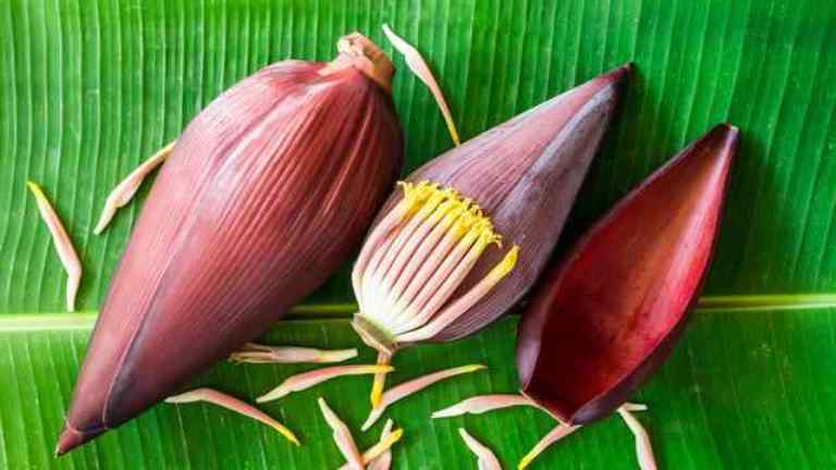 Jantung pisang kaya akan nutrisi yang membantu meningkatkan daya tahan tubuh.