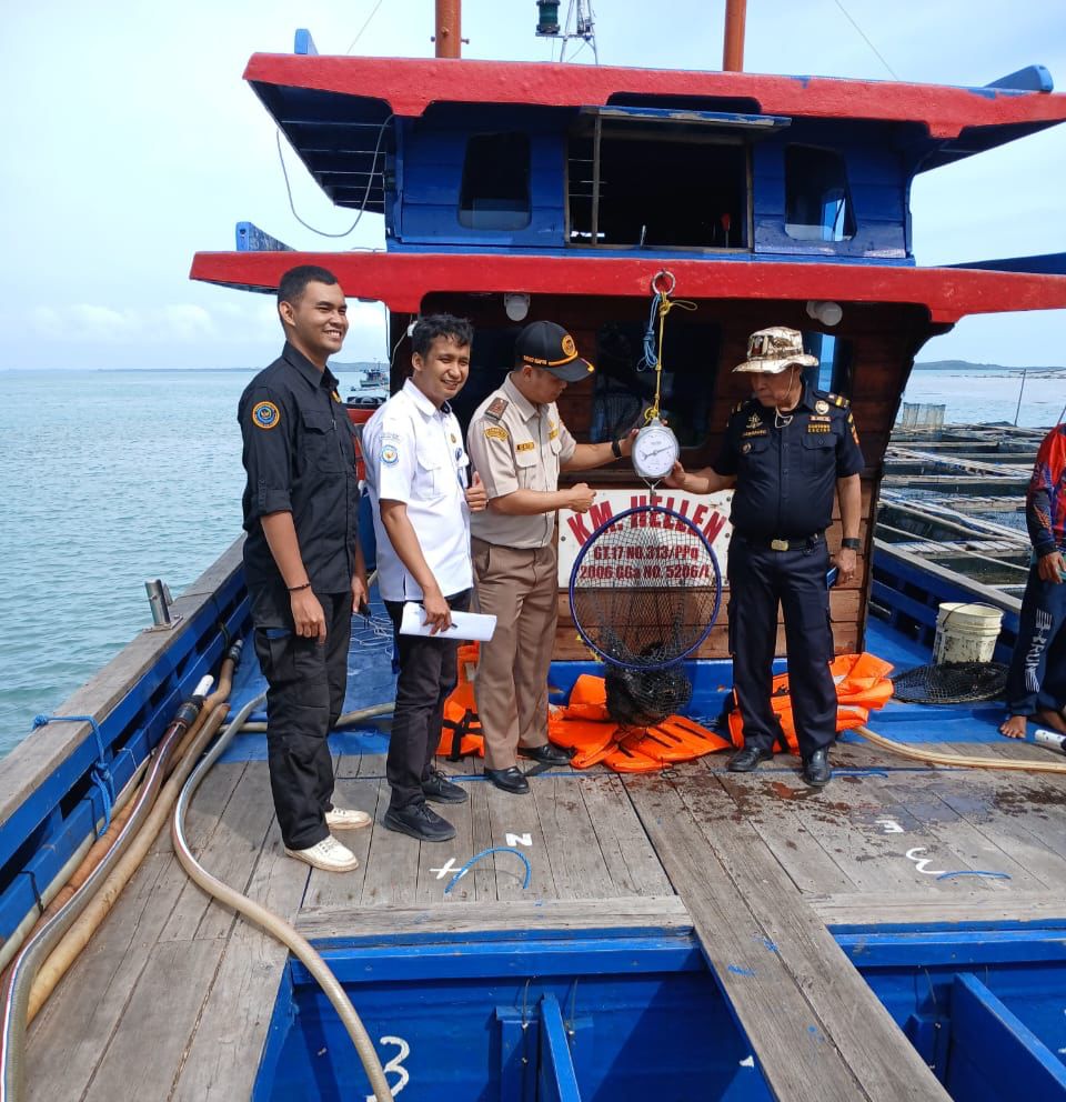 Proses pengecekan kerapu oleh Karantina Kepri yang bakal diekspor.