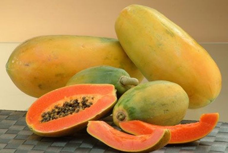 Buah pepaya memiliki segudang khasiat bagi tubuh berkat kandungan nutrisinya.