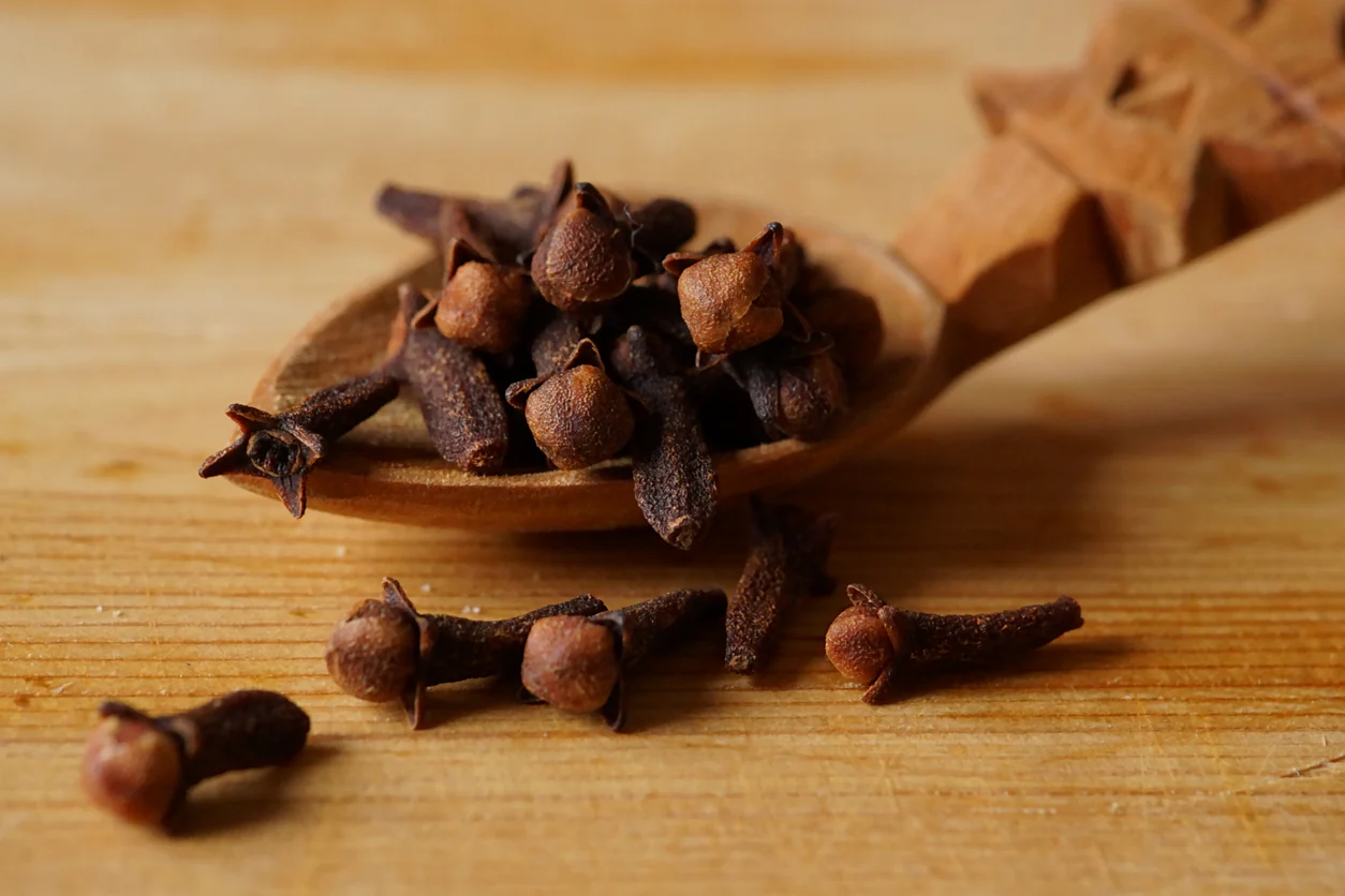 Ilustrasi cengkeh.