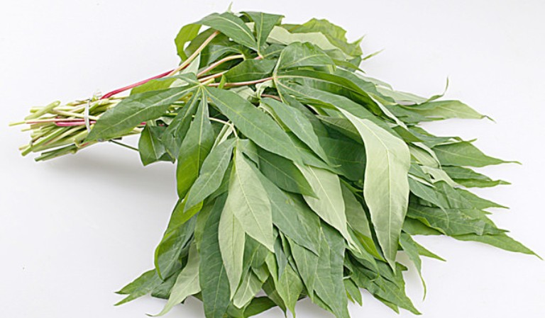 Meski harga jual daun singkong  terbilang murah, namun kaya khasiat bagi kesehatan.