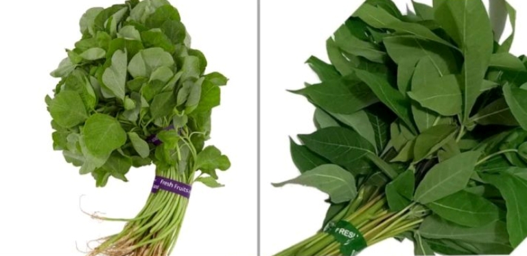 Ilustrasi. Bayam dan daun singkong merupakan sayuran pilihan terbaik untuk kesehatan.