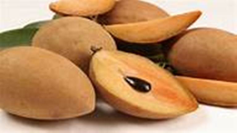 Ilustrasi. Buah ciku yang kaya nutrisi dan rawsanya manis tapi tidak baik untuk penderita tenggorokan.