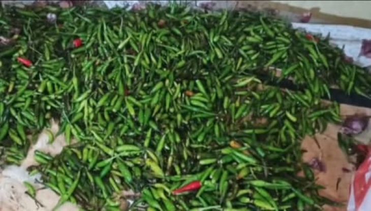 Kondisi terkini Pasar Sayur Dabo Singkep pasca Lebaran Idul Fitri 1446 Hijriah Tahun 2025 pada Kamis (3/4).