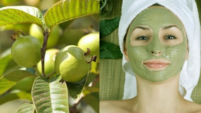 ILUSTRASI. Masker wajah dari daun jambu biji dipercaya ampuh mengatasi kulit berminyak dan jerawat.
