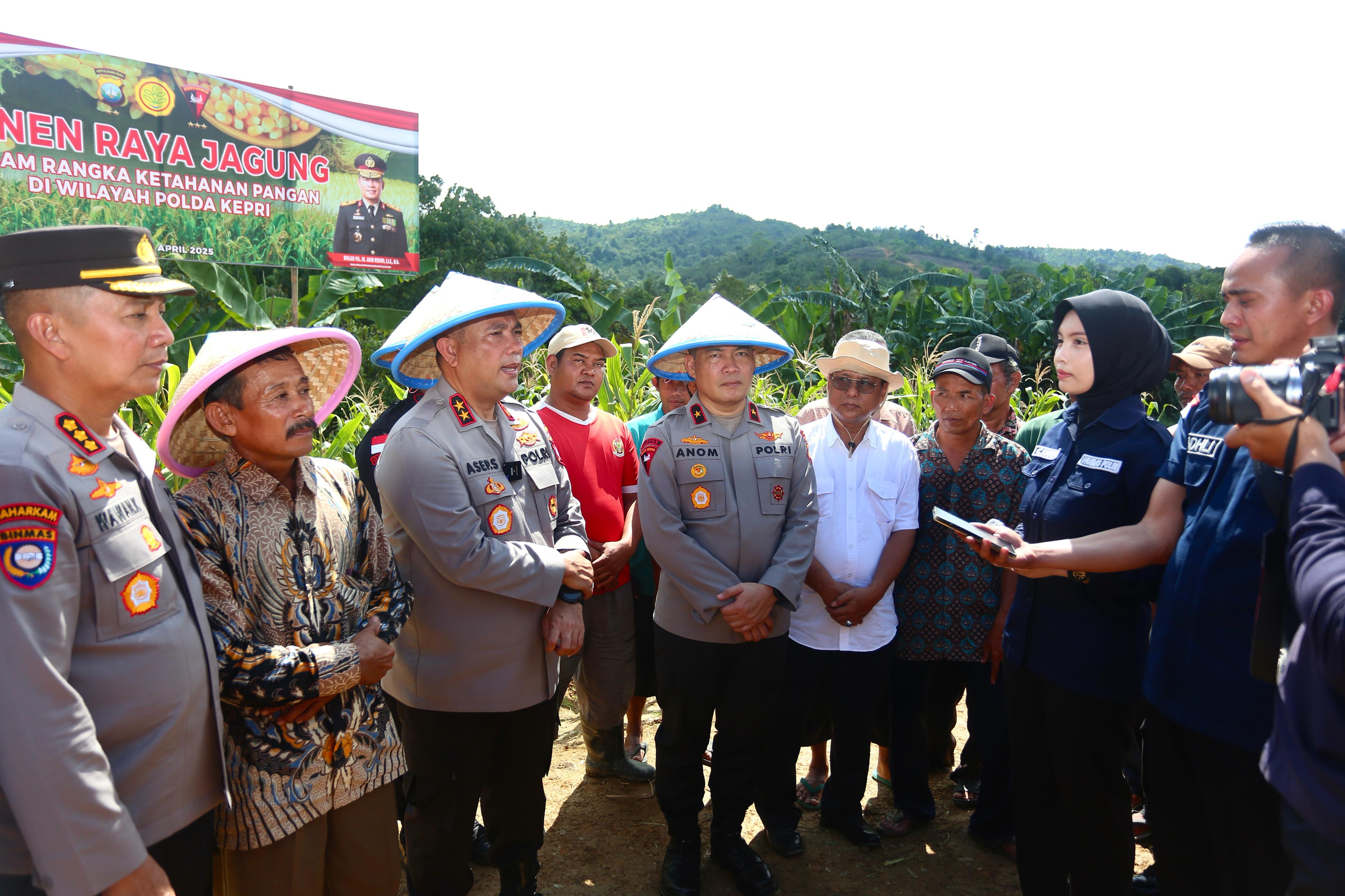 Jajaran Polda Kepri usai panen raya jagung bersama Kelompok Tani Maju Bareng di kawasan Tembesi Sidomulyo, Kecamatan Sagulung, Rabu (9/4).