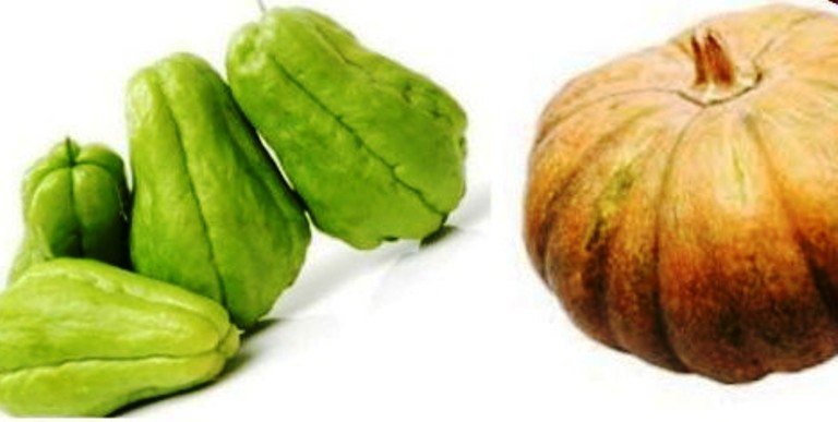 ILUSTRASI. Labu Siam dan Labu Kuning.