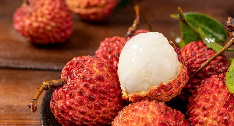 ILUSTRASI. Buah Leci