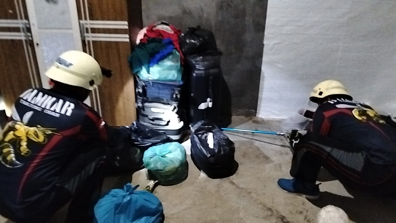 Petugas menangkap ular King Kobra di Kampung Rambutan, Desa Sebong Pereh, Kecamatan Teluk Sebong pada Rabu (30/4/2025) malam.