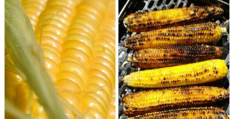 ILUSTRASI. Jagung bakar dan jagung rebus. Yang mana favorit Anda?