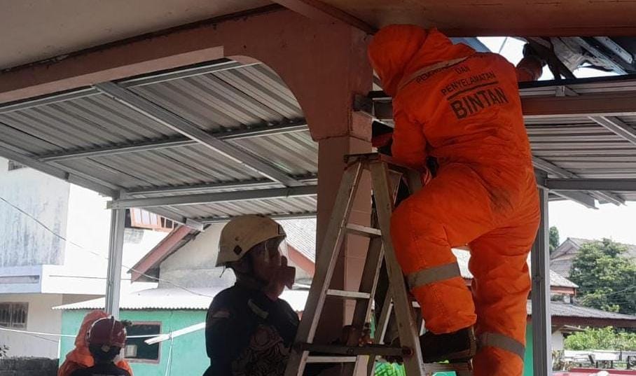 Tim Damkar mengeksekusi sarang lebah madu.