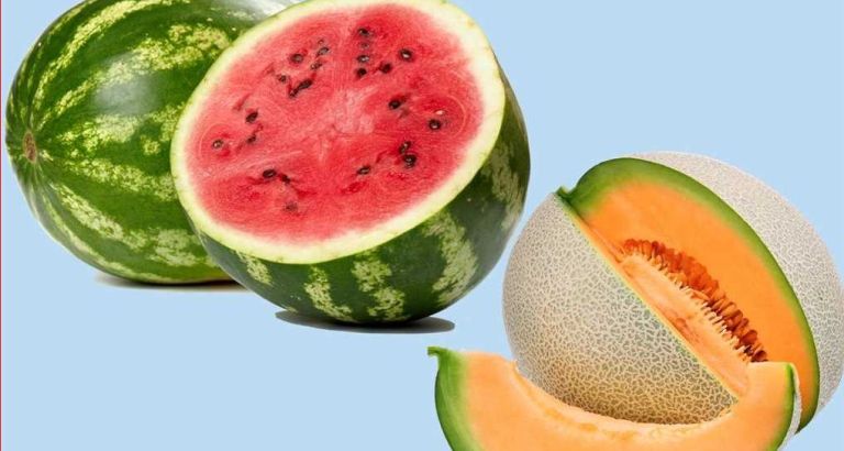 ILUSTRASI. Melon dan semangka, sama-sama menyehatkan.