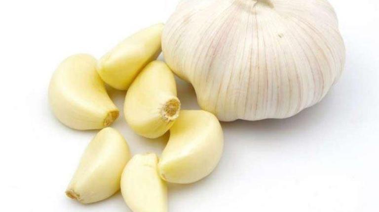 ILUSTRASI. Bawang Putih