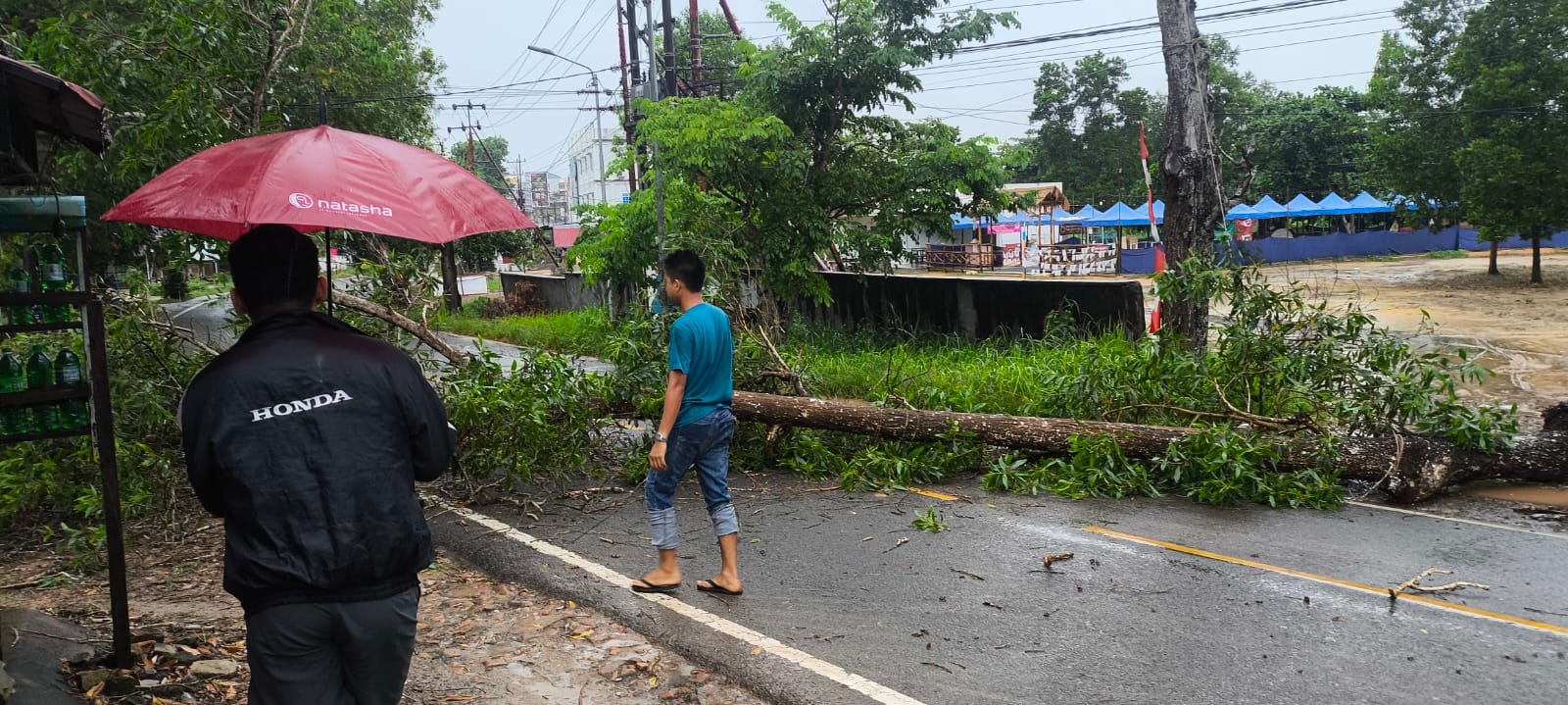 Petugas BPBD Tanjungpinang saat melakukan evakuasi pohon tumbang yang menutup akses kendaraan yang melintas di Jalan RH Fisabilillah, Minggu (18/5).