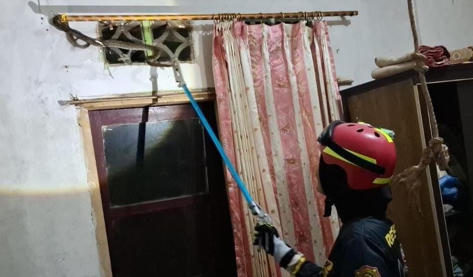 Pemadam kebakaran berhasil mengevakuasi ular sawah yang berada di dekat ventilasi rumah warga di Perumahan Tanjungpermai, Kecamatan Seri Kuala Lobam, Sabtu (24/5/2025) malam.