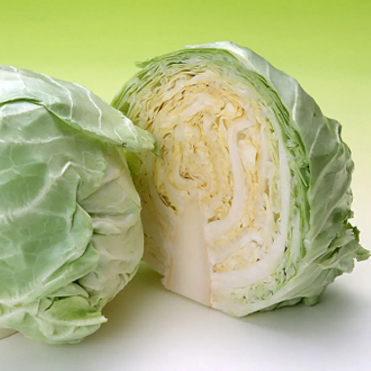 ILUSTRASI kol. sayuran murah kaya menfaat di Indonesia.