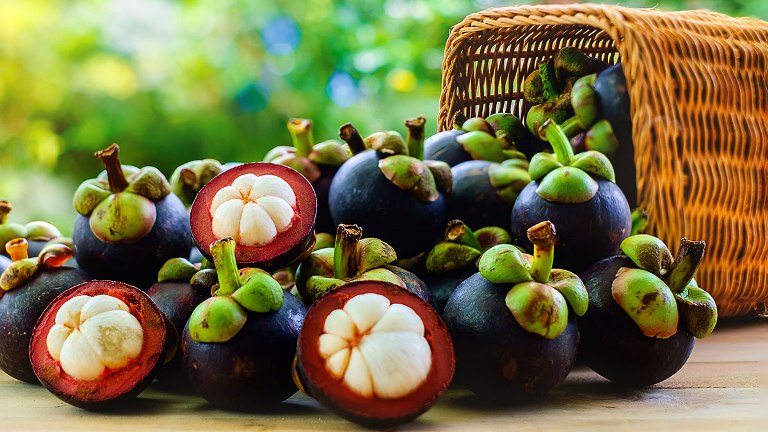 ILUSTRASI.Buah manggis kaya vitamin dan nutrisi untuk kesehatan.