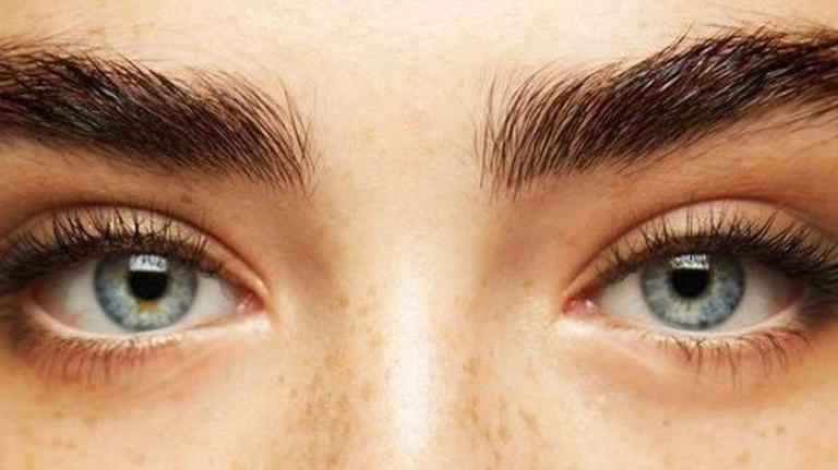 ILUSTRASI. Alis mata tebal dambaan setiap wanita.