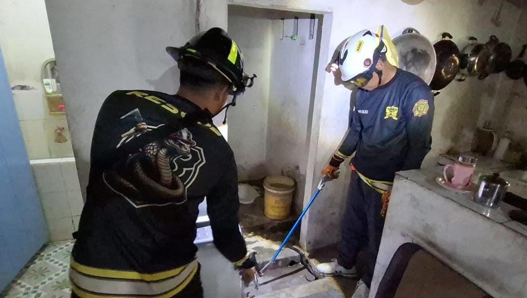 Petugas pemadam kebakaran mengevakuasi ular yang masuk ke rumah dinas TNI AL di di Bumi Moro, Jalan Mekar Sari, Gang Weling, Tanjunguban, Kecamatan Bintan Utara pada Kamis (12/6/2025).