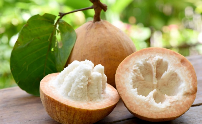 ILUSTRASI. Kulit buah kecapi ternyata mampu dimanfaatkan sebagai obat alternative.