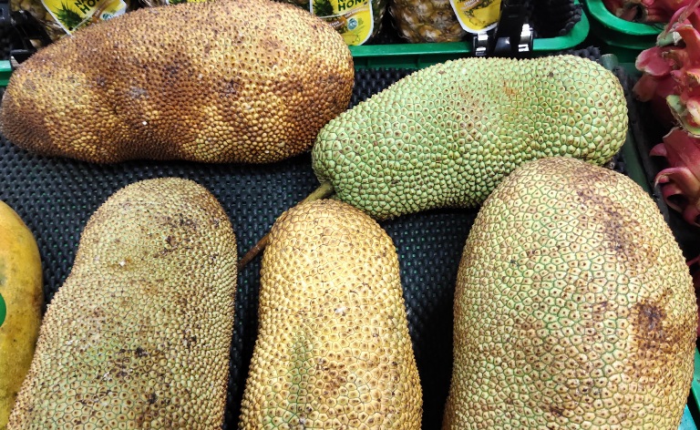 ILUSTRASI. Buah cempedak.