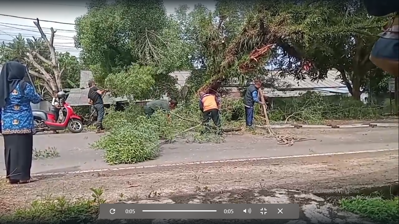 Warga bekerja sama membersihkan jalan dari pohon yang tumbang.