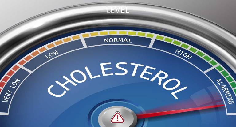 ILUSTRASI. Menkonsumsi cempedak secara berlebihan berdampak pada meningkatnya kolesterol.