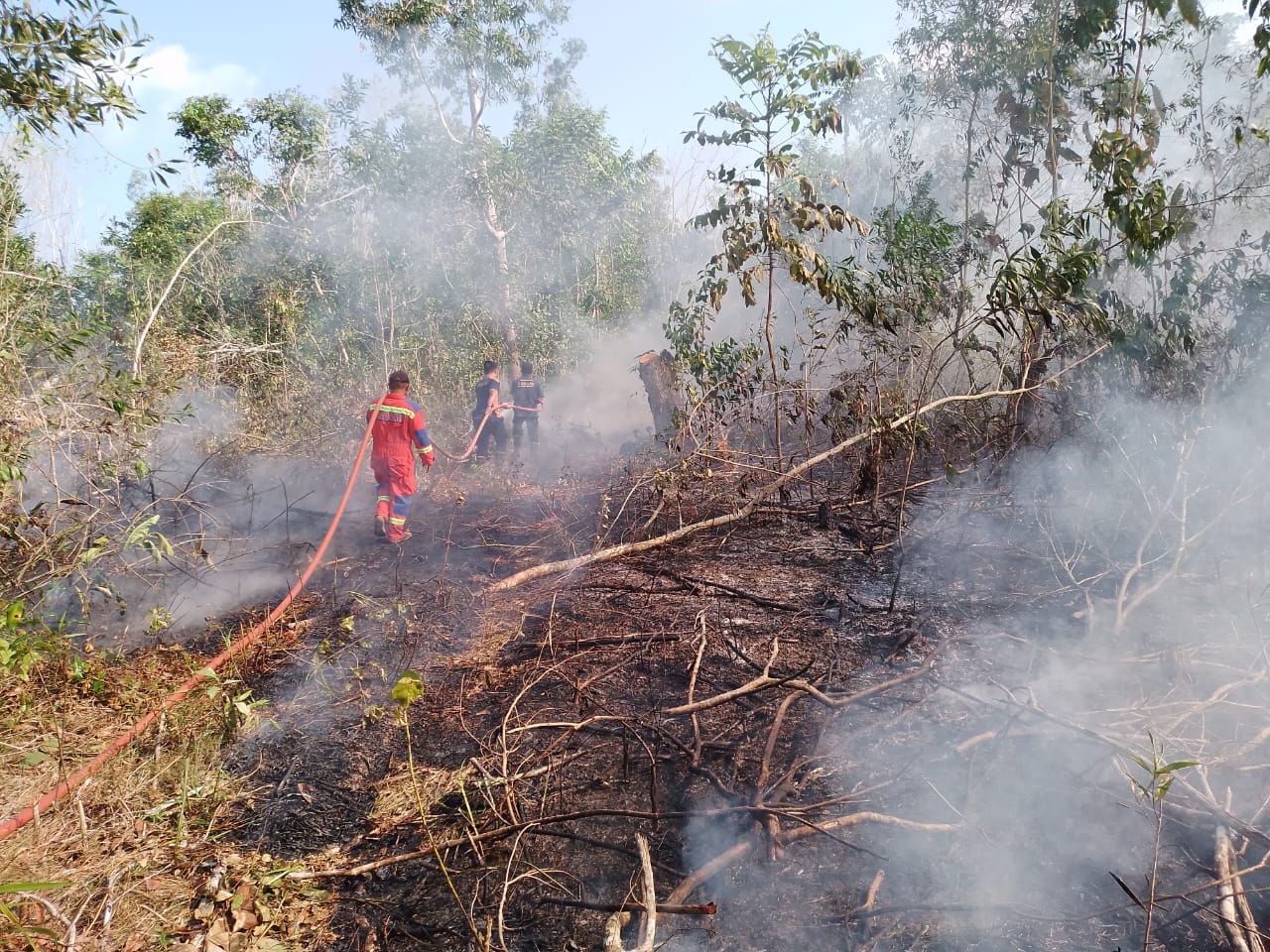 Petugas Damkar unit Dabo Singkep saat melakukan pemadaman api yang melahap hutan di Dabo Singkep, Kamis (26/6).