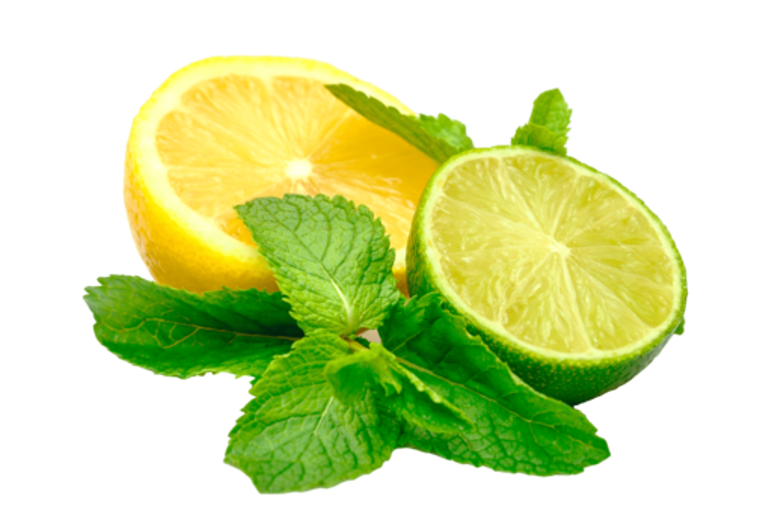ILUSTRASI. Jeruk nipis dan lemon.