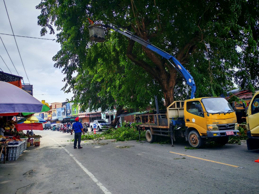 Pekerja saat melakukan pemangkasan dahan pohon yang membahayakan pengguna jalan.
