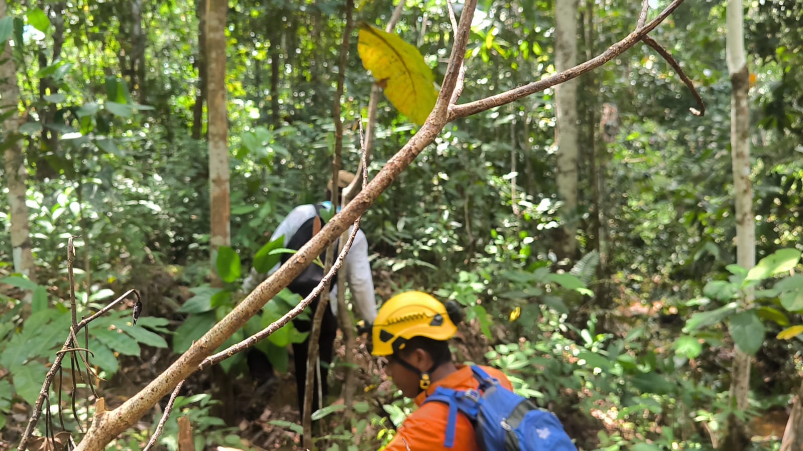 Personil Basarnas Natuna sedang mencari 3 warga yang dinyatakan hilang usai sepekan mencari Gaharu di Hutan Bukit Bedung
