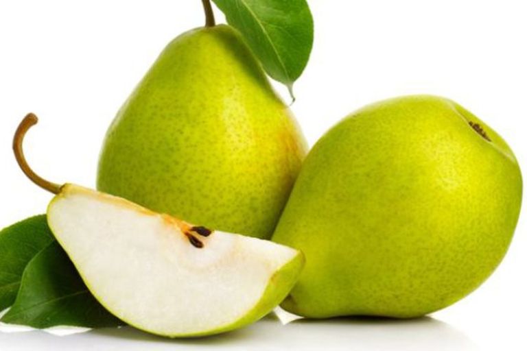 ILUSTRASI. Buah pir yang kaya nutrisi memiliki segudang khasiat bagi tubuh.