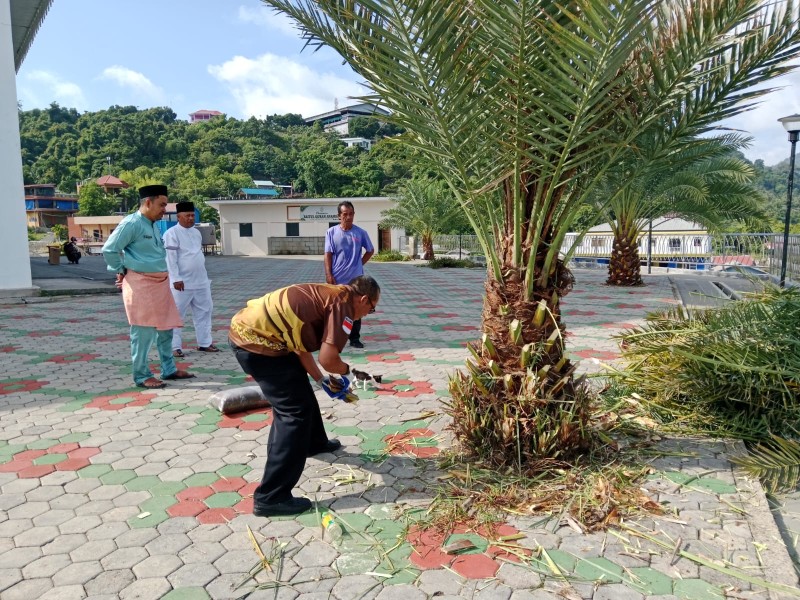 Sejumlah warga sedang melihat pohon kurma yang berbuah di Masjid Agung Baitul Ma