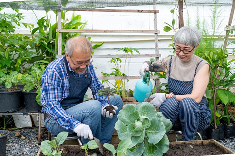 ILUSTRASI. Berkebun adalah aktivitas melatih diri, sekaligus mengurangi stres.