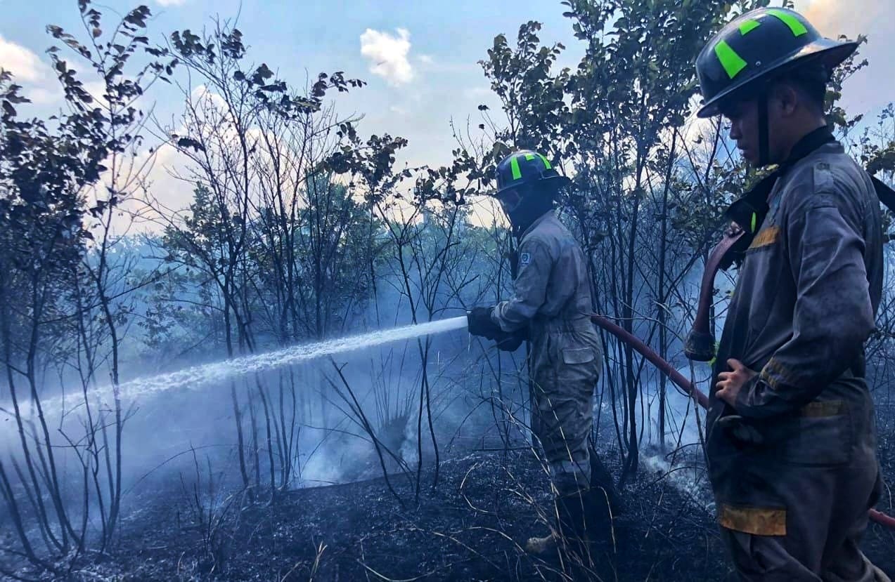 Petugas Damkar berusaha memadamkan bara api di lahan yang terbakar di Tanjunguban, Bintan, baru-baru ini.
