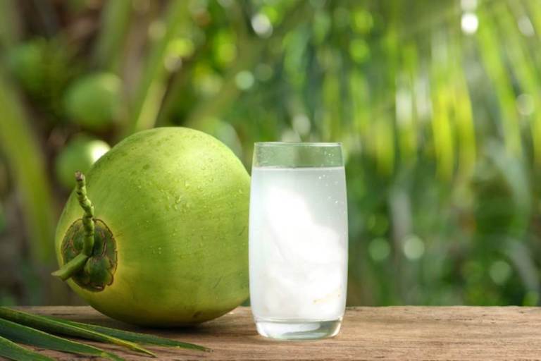 ILUSTRASI. Air kelapa murni, salah satu obat alami penurun panas.
