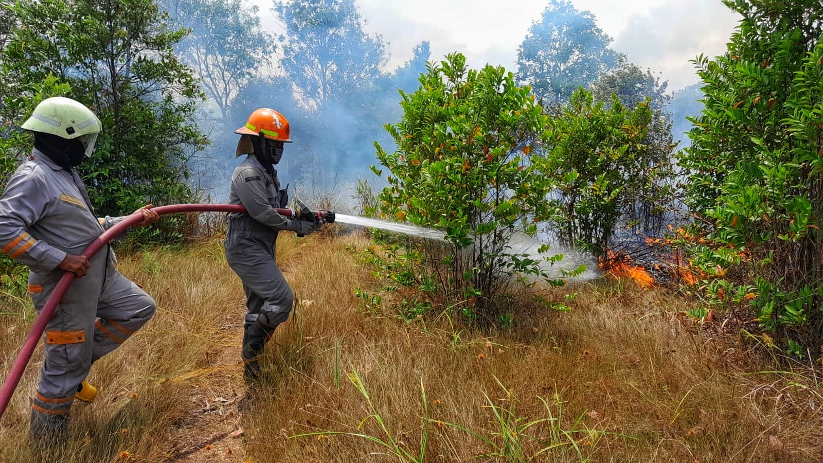 Petugas memadamkan api di lahan yang terbakar di jalan Tanjungpinang-Tanjunguban, Desa Lancang Kuning, Kecamatan Bintan Utara, Jumat (1/8/2025).