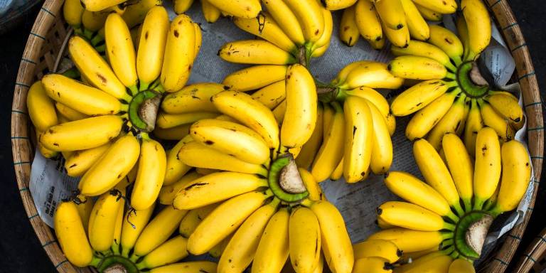 ILUSTRASI. Buah pisang mengandung sejumlah nutrisi penting yang dibutuhkan tubuh.
